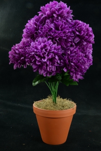 Purple Carnation-Mum Bush x12  (Lot of 1) SALE ITEM